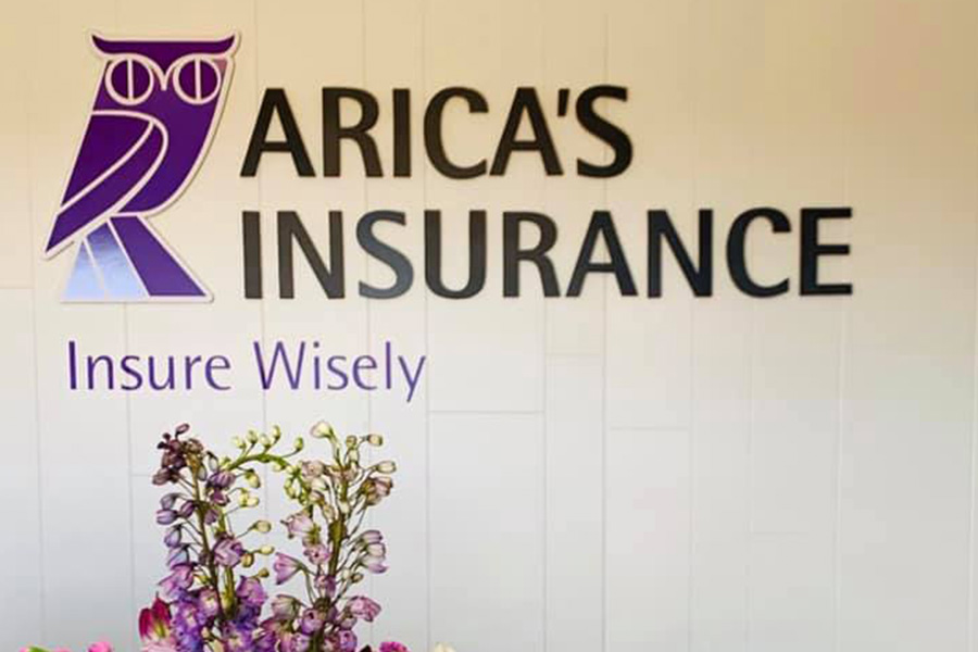 Hudson, NY - Display of Arica's Insurance Office With the Owl Logo and Flowers in View